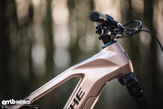 Haibike AllMtn Pinion DSC 8707