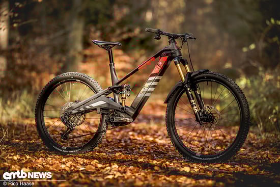 Rotwild R.EX 900 – ein potentes E-MTB mit polarisierender Optik und entnehmbarem Akku.