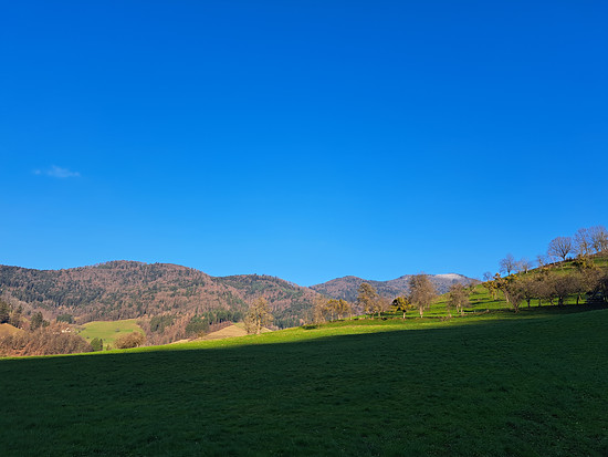 Winterpokal-Aktivität
