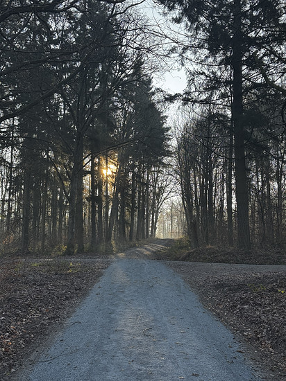 Winterpokal-Aktivität