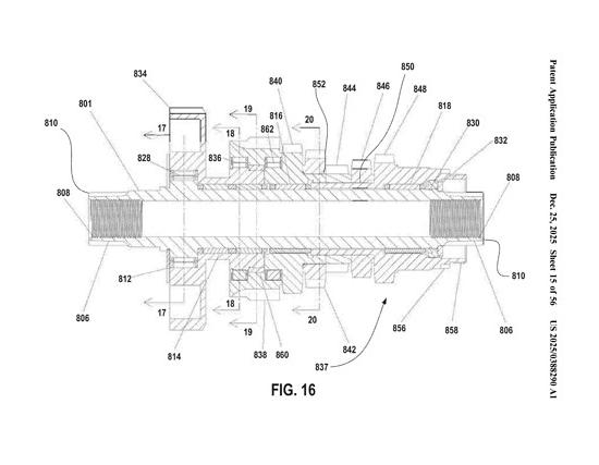 US-20250388290-A1 I Seite 16 Bild 0001