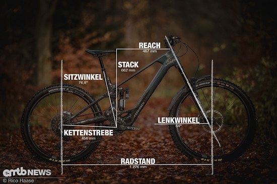 GEOBILD forbidden Druid CorE