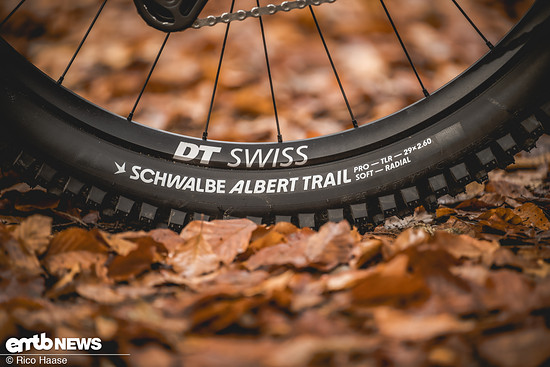 Focus JAM2 Next DSC 2589