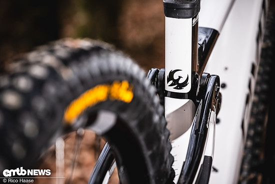 Pivot Shuttle LT mit Bosch CX-R DSC 3029