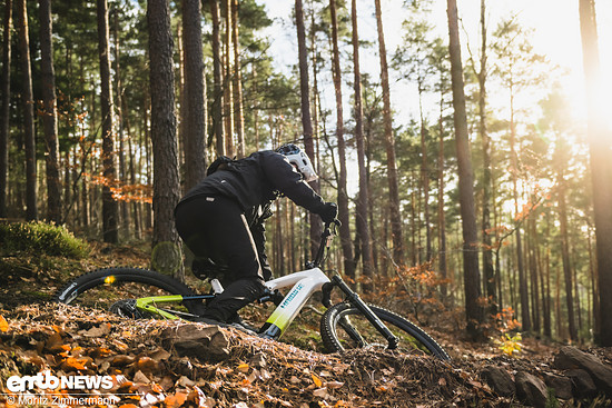 Das Haibike Hybe lässt sich intuitiv steuern und fährt sich äußerst gutmütig.