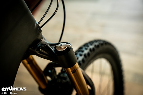 Specialized Levo 4 R Test und Neuvorstellung Z8H 0165