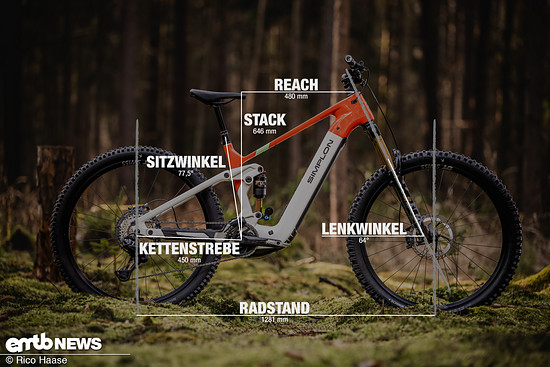 Simplon Rapcon e:CX mit Geometrieangaben in Rahmengrösse L.