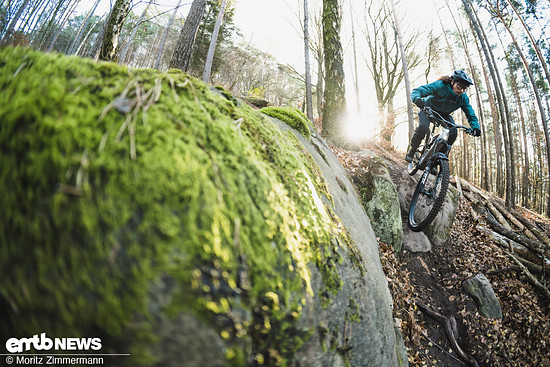 Satt liegt das Amflow PL Carbon auf dem Trail – das Fahrwerk arbeitet feinfühlig und sensibel genug, um kleine Unebenheiten zu filtern und die Arme zu schonen.