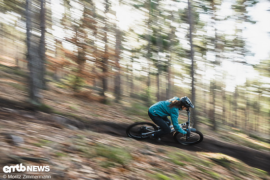 In der getesteten Größe funktioniert die kompakte Kettenstrebe mit 445 mm Länge und verpasst dem PL Carbon in Größe L eine angenehme Balance.