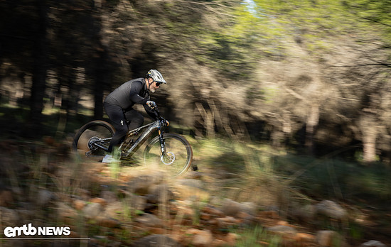 Specialized Levo R Action JUS 1075