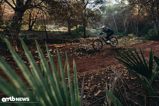 Specialized Levo R Action ETSC2791