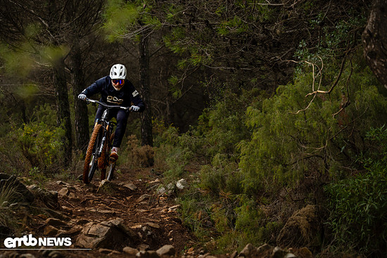 Specialized Levo R Action JUS 4325