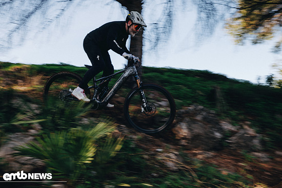 Specialized Levo R Action ETSC2586