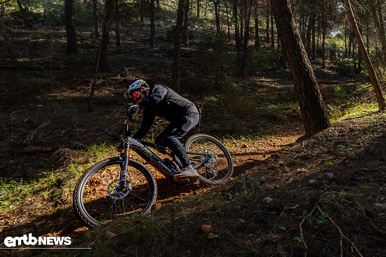 Specialized Levo R Action JUS 2195