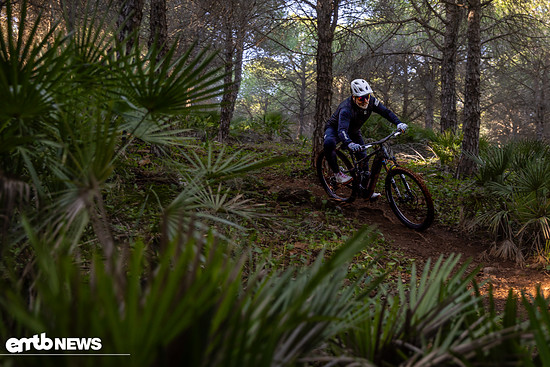 Specialized Levo R Action JUS 0735