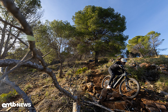 Auf dem Trail hatte ich mit dem Specialized Levo R mächtig viel Spaß und würde dieses Setup dem normalen Levo sogar vorziehen.