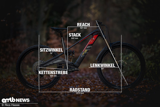 Rotwild R.EX 900 mit Geometrieangaben in Rahmengrösse L.