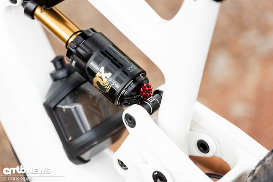 77409-6ahrt0eonqyu-foto chris spath yt decoy 41-original