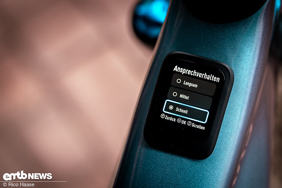 Walkfunktion nach Update DSC 3329