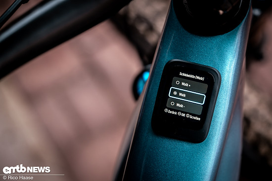 Walkfunktion nach Update DSC 3294