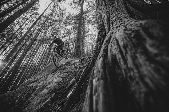 MY26 Sight VLT TQ Lifestyle photo 9578 gs