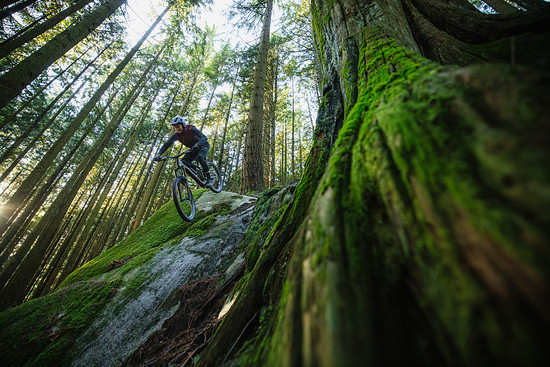 MY26 Sight VLT TQ Lifestyle photo 9578