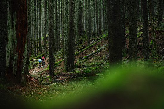 MY26 Sight VLT TQ Lifestyle photo 8199