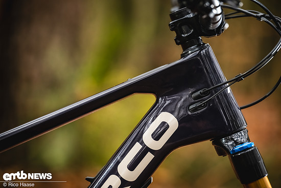 Norco Sight VLT TQ Neuvorstellung und Test DSC 3351