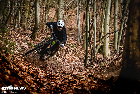 Giant Stance E Action Z8H 1791