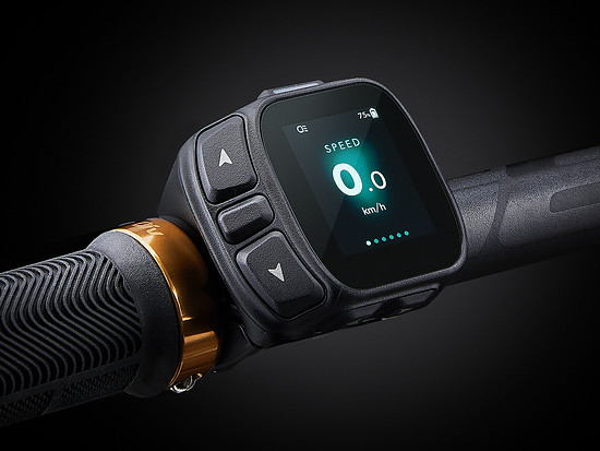 Die RideControl Dash 2 bietet einen Überblick über das System.