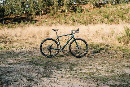 Groß (rose-bikes-backroad-al-plus_02).jpeg