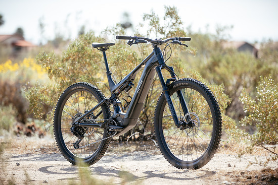 CURRENT2026 Phoenix BIKE CHECK ByADL-3598