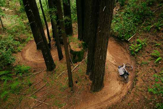 Aventon Current Mai  Header
