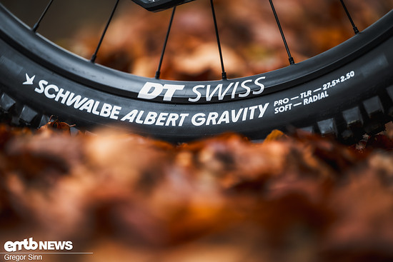 Der Schwalbe Albert in härterer Mischung war mir etwas zu wenige Reifen für ein so potentes Bike.