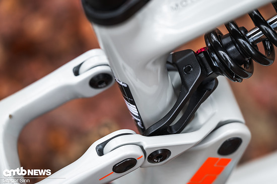 Cannondale-Moterra-LT-4824