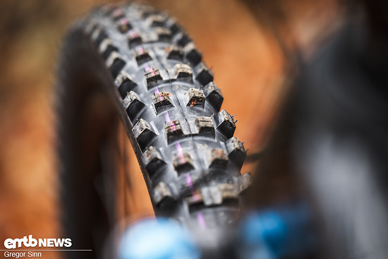 An der Front gibt's massig Grip in losen Untergründen dank Schwalbe Shredda.