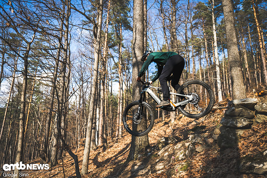 Cannondale-Moterra-LT-6746
