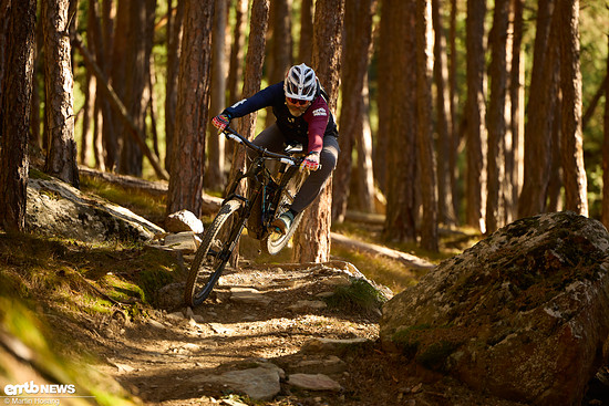 Auf dem Trail machen Bikes mit dem aktuellen Bosch CX richtig viel Spaß.