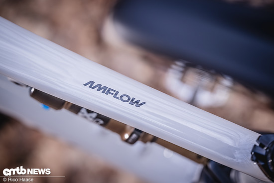 Amflow PX Carbon Pro Test DSC 4677