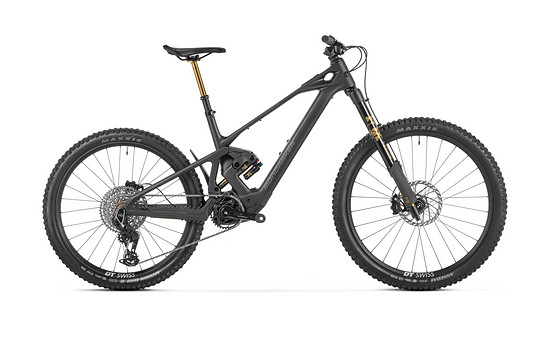 Mondraker Zendit RR S – Preis (UVP): 10.499 €