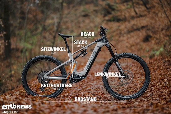 Cannondale-Moterra-LT-Geometrie