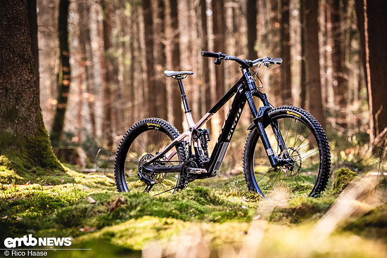 Pivot Shuttle AMPd Test und Neuvorstellung Z8H 2406