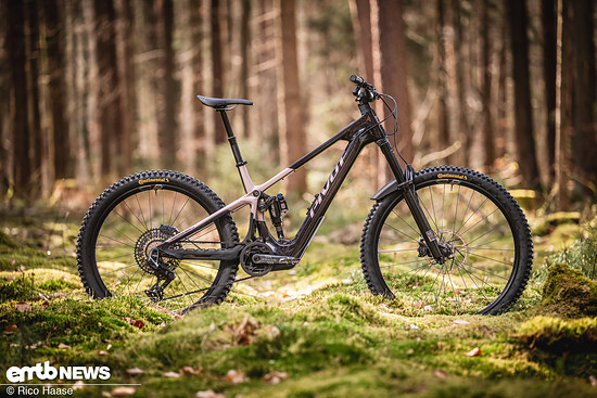 Pivot Shuttle AMP’d in der Pro-Version