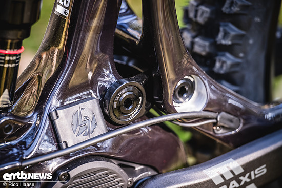 Pivot Shuttle AMPd Test und Neuvorstellung Z8H 2428