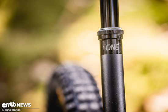 Pivot Shuttle AMPd Test und Neuvorstellung Z8H 2418