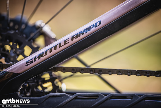 Pivot Shuttle AMPd Test und Neuvorstellung Z8H 2383