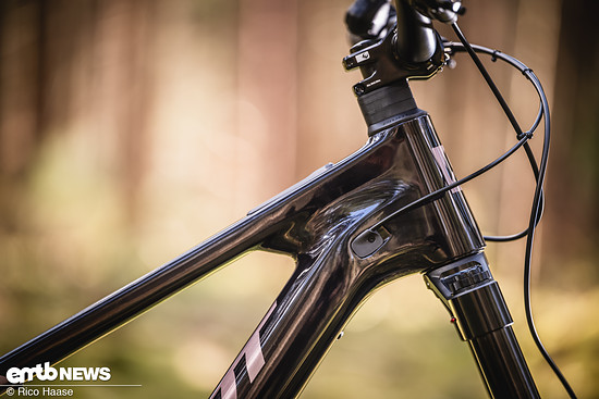 Pivot Shuttle AMPd Test und Neuvorstellung Z8H 2359
