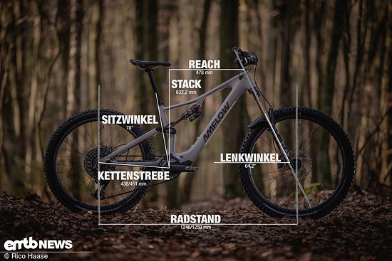 Amflow PX Carbon Pro mit Geometrieangaben in Rahmengrösse L.