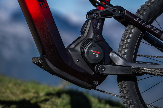 HAIBIKE ALLMTN CF 9.5 ABS_Klemens Koenig_Detail_2.jpg