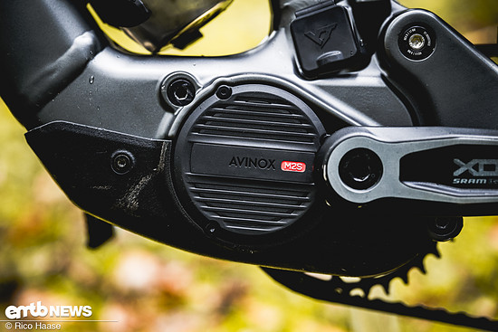 YT Decoy X mit Avinox M2S - Test und NeuvorstellungZ8H 2748